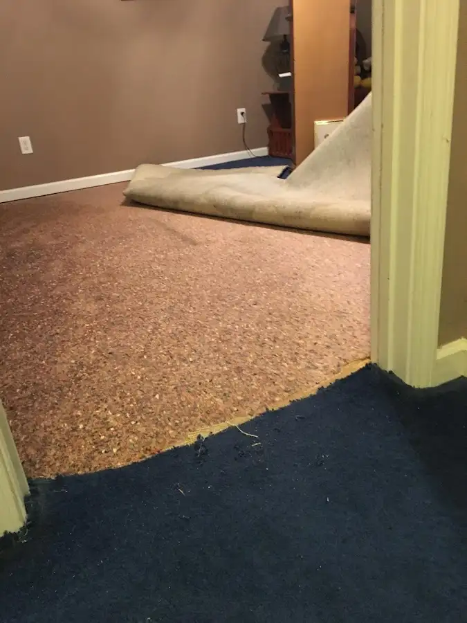 Carpet pad removal revealing water damage during Water Mitigation Services in Robinwood