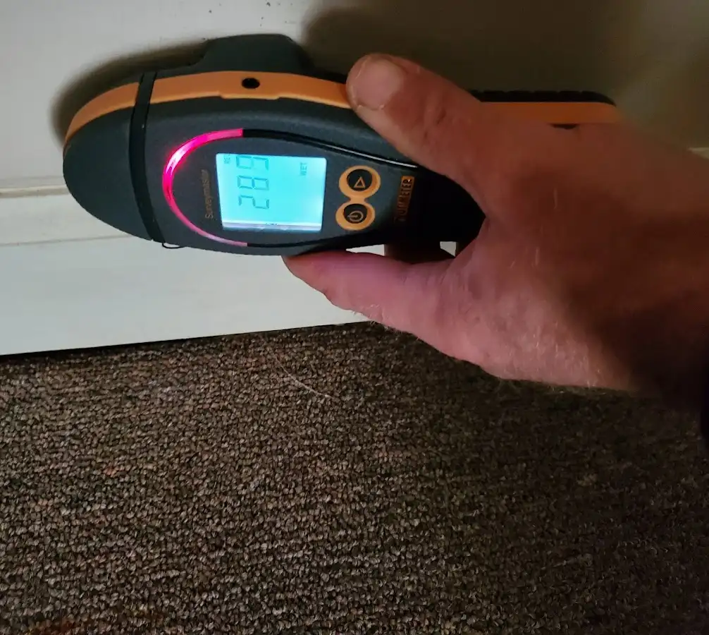 Moisture detection at baseboard during Sewage Cleanup & Sanitation in Robinwood