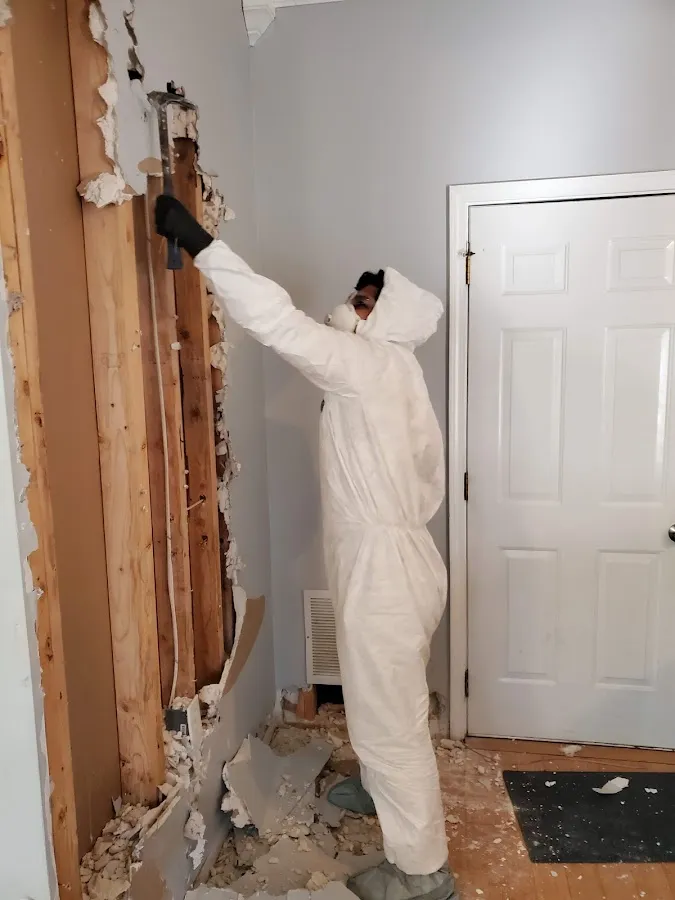 Water Damage Restoration services in Robinwood, MD